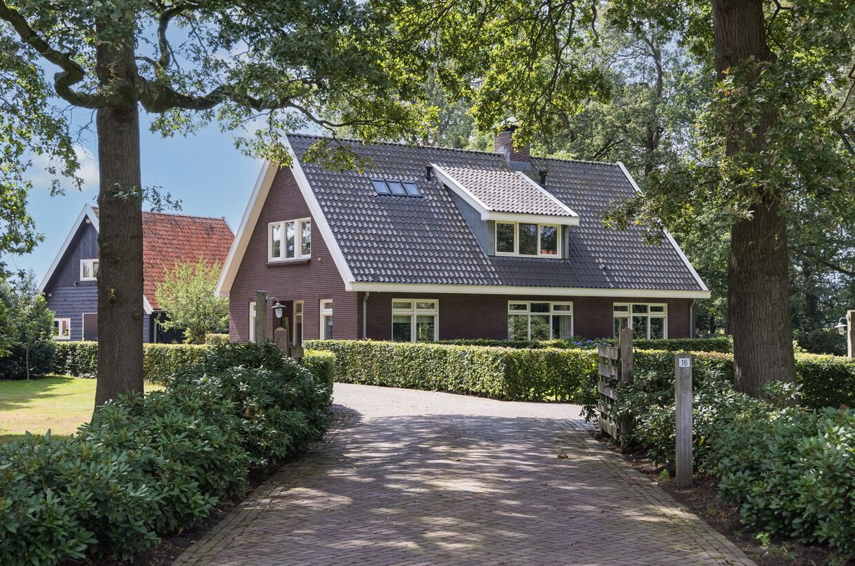 De oprit met hagen en eikenbomen naar het landhuis