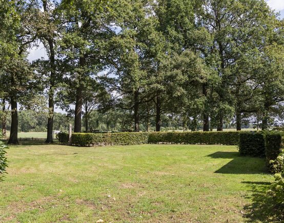 Het gazon met rijen volwassen eiken aan de rand van het perceel